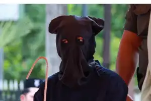 Langgar Syariat Islam, 11 Orang Terpidana Dihukum Cambuk di Nagan Raya