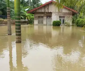 Masyarakat Kecewa, Respon Pemerintah Lamban Tangani Korban Banjir