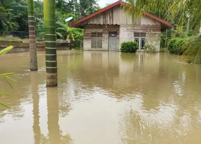Masyarakat Kecewa, Respon Pemerintah Lamban Tangani Korban Banjir