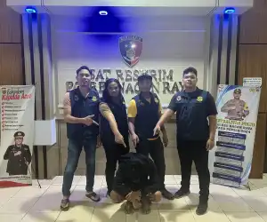 Seorang Pemuda di Nagan Raya Ditangkap Polisi Karena Gelapkan Barang COD