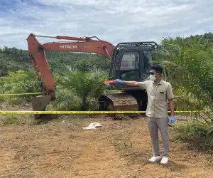 Polres Nagan Raya Tangkap Pelaku Pembakaran Alat Berat di PT.WGU