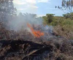 Delapan Hektar Lahan Masyarakat di Aceh Barat Terbakar