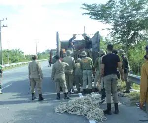 Satpol PP Aceh Jaya kembali Angkut 7 Sapi dan 13 Kambing di Jalan Raya