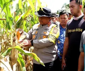 Wujudkan Ketahanan Pangan, Polres Abdya Siapkan lahan 20 Hektar untuk Tanaman Jagung