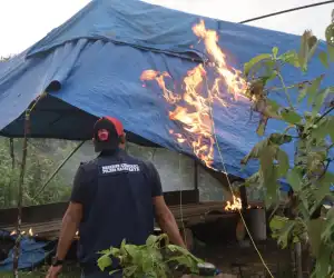 Polisi Bakar Camp Penambang Dilokasi Tambang Ilegal di Nagan Raya