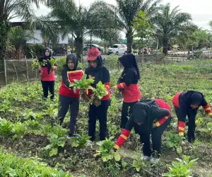 Brimob Aceh Panen Sayuran Di Lahan Pangan Lestari