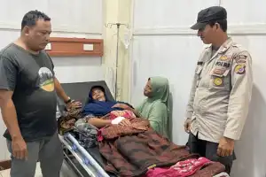 Seorang Nenek di Aceh Singkil Selamat dari Terkaman Buaya, Warga Khawatir Ancaman Mengintai