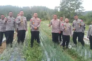 Brimob Aceh Panen Bawang Sebagai Wujud Mendukung Program Ketahanan Pangan