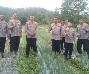 Brimob Aceh Panen Bawang Sebagai &nbsp;Wujud Mendukung Program Ketahanan Pangan