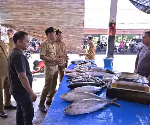 Wakil Bupati Aceh Jaya Pantau Stok Pangan dan Harga Daging Jelang Meugang dan Ramadhan 1446 H/2025 M