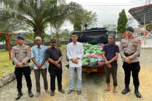 Batalyon C Pelopor Brimob Polda Aceh Bagikan 440 Paket Daging Qurban