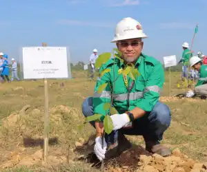 PT BEL Reklamasi 15 Hektare Lahan Bekas Tambang Saat Peringatan HLHS 2025