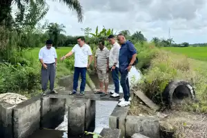 Tindak Lanjuti Keluhan Petani, Bupati TRK Tinjau Saluran Irigasi Sekunder