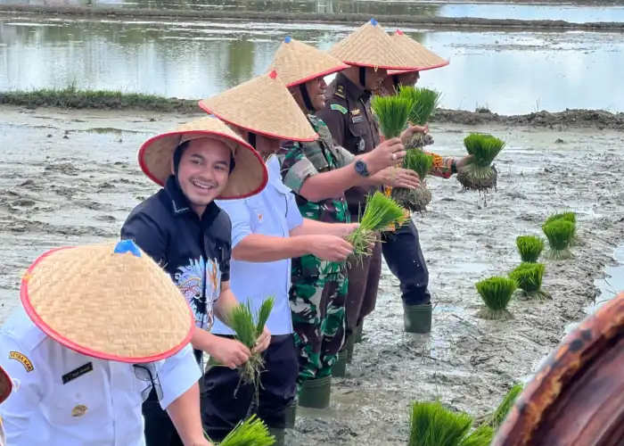 Ketua DPRK Nagan Raya Hadiri Kegiatan Tanam Padi Serentak di Desa Puloe Ie