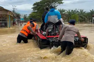 Brimob Batalyon C Pelopor Sigap Tangani Banjir di Tadu Raya, Bantu Evakuasi dan Atur Lalu Lintas