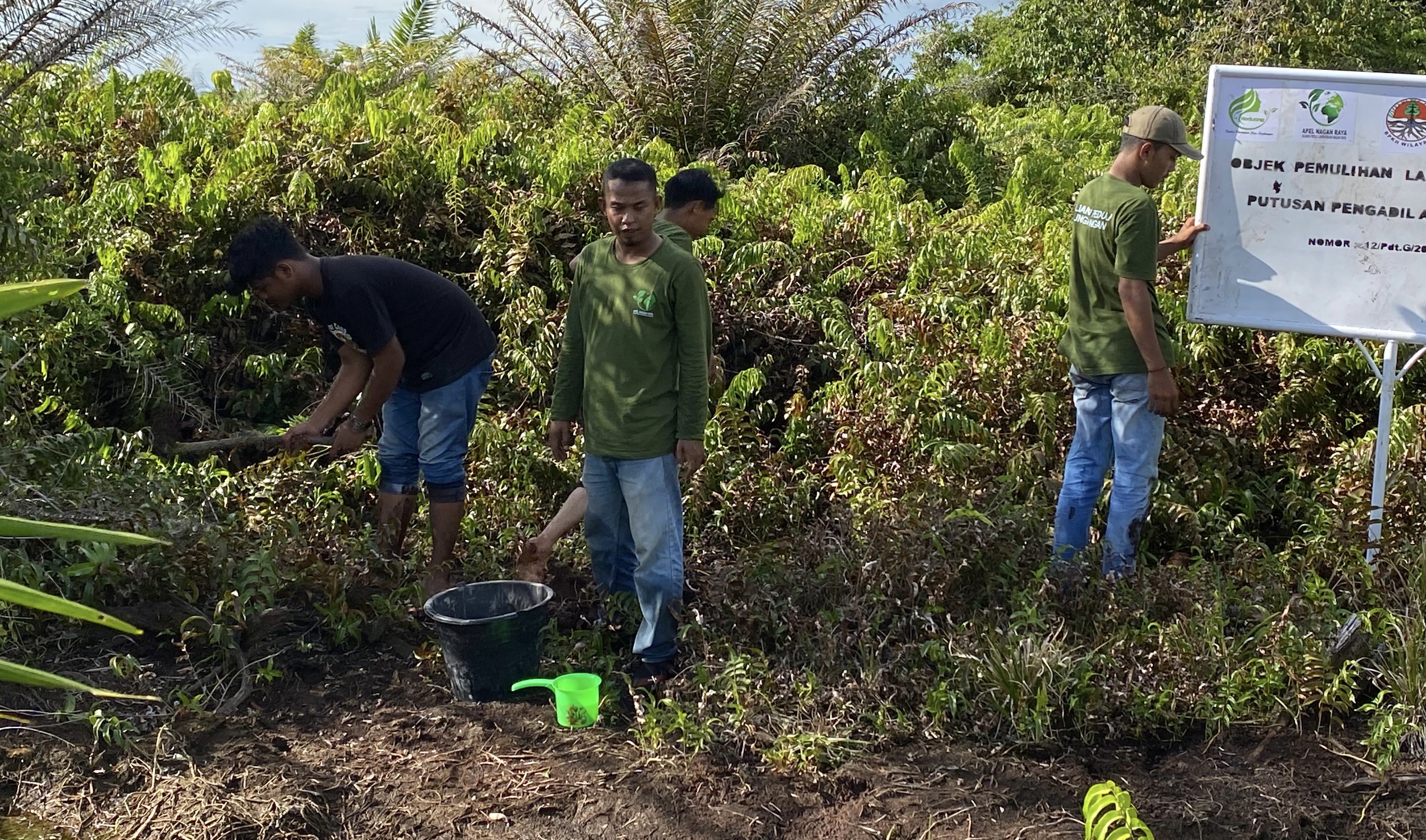 Apel Green Sebut Tidak Ada Paslon Bupati Yang Paham Permasalahan Rawa Tripa