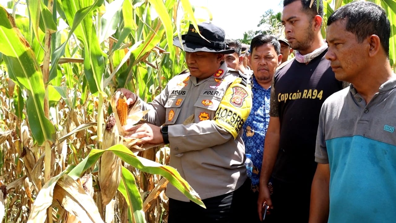 Wujudkan Ketahanan Pangan, Polres Abdya Siapkan lahan 20 Hektar untuk Tanaman Jagung