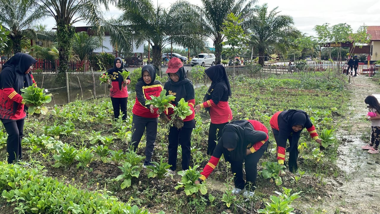 Brimob Aceh Panen Sayuran Di Lahan Pangan Lestari