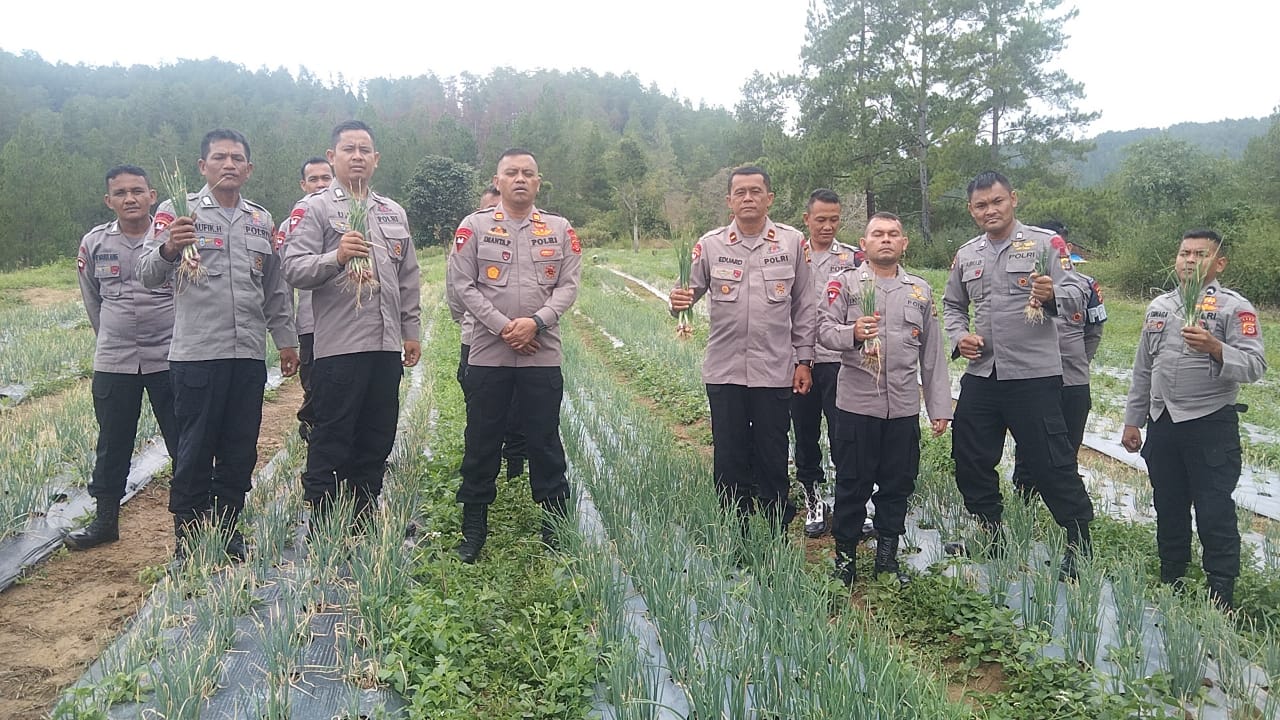 Brimob Aceh Panen Bawang Sebagai Wujud Mendukung Program Ketahanan Pangan