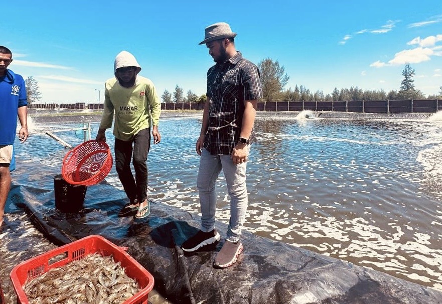Muhammad Jusuf Darusman (MJD) Serukan Pemerintah Tangani Krisis Harga Udang dan Selamatkan Ekonomi Pesisir Aceh