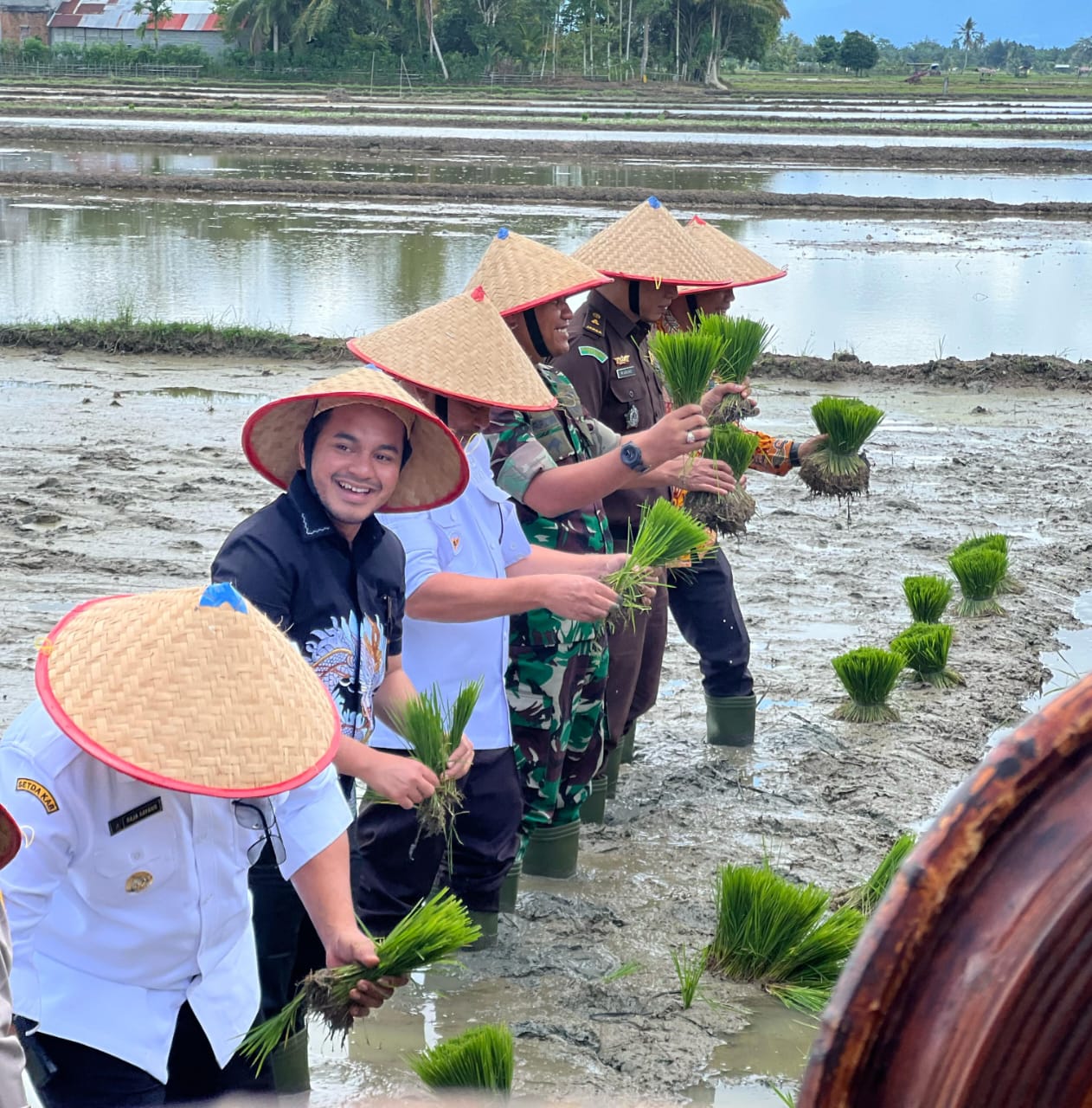 Ketua DPRK Nagan Raya Hadiri Kegiatan Tanam Padi Serentak di Desa Puloe Ie