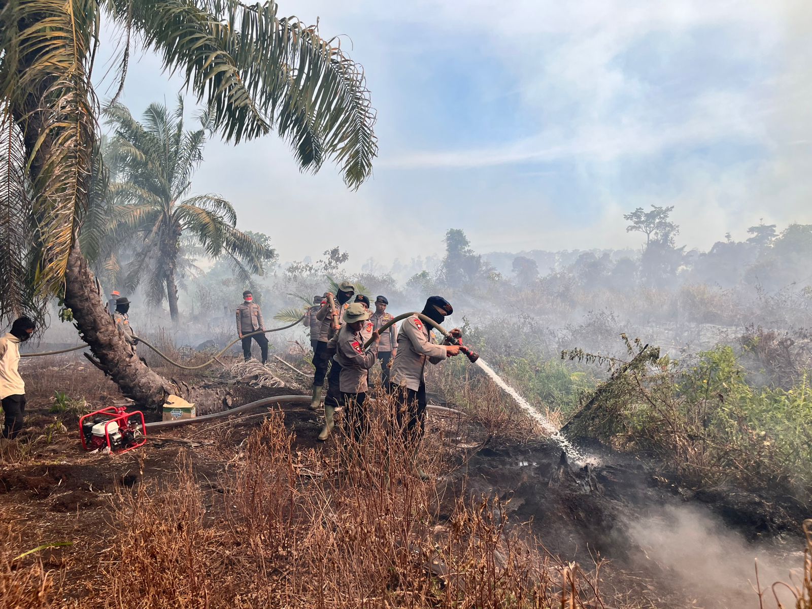 Brimob Batalyon C Pelopor Bersinergi dengan Tim Gabungan Jinakkan Kebakaran Lahan di Nagan Raya